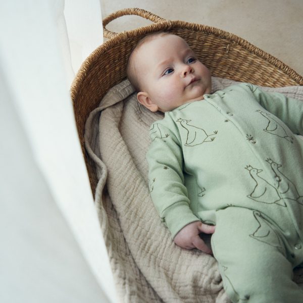 Smith Goose Onesie Sage Hot on Sale