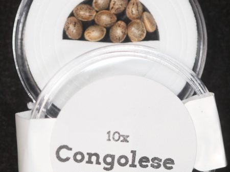 Congolese Seeds grown by Mel Frank Fashion