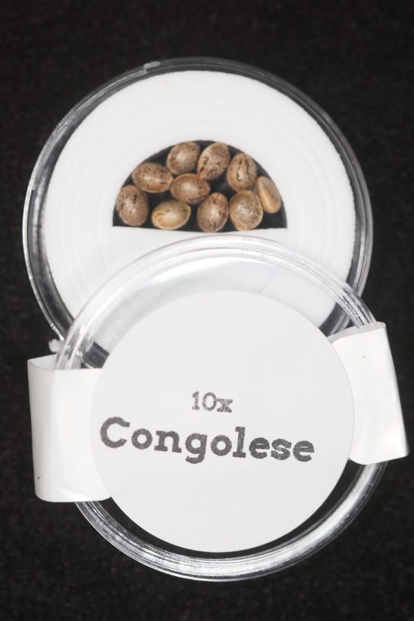 Congolese Seeds grown by Mel Frank Fashion