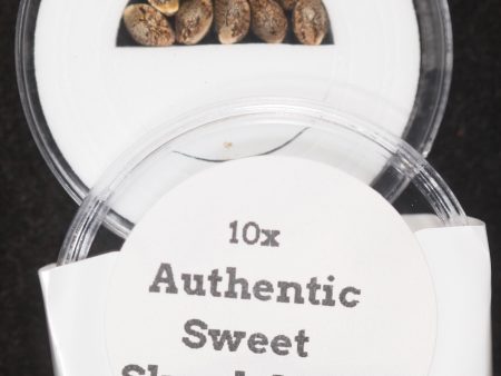 Authentic Sweet Skunk #1  IBL (Inbred Line) Regular Seeds on Sale