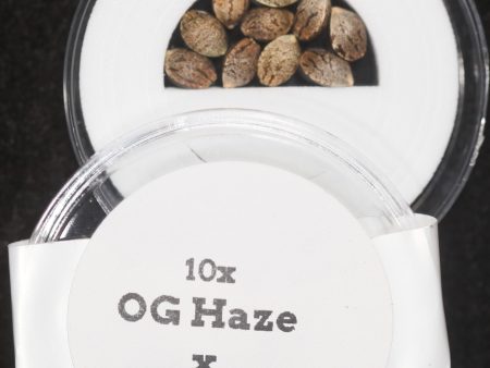 OG Haze x NL#2 F1 Regular Seeds Online now