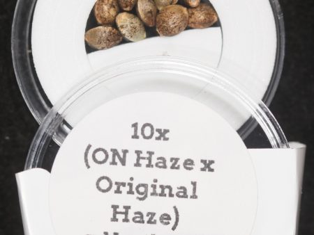 (ON Haze x Original Haze) x Northern Lights #2 F1 Regular Seeds Online Sale