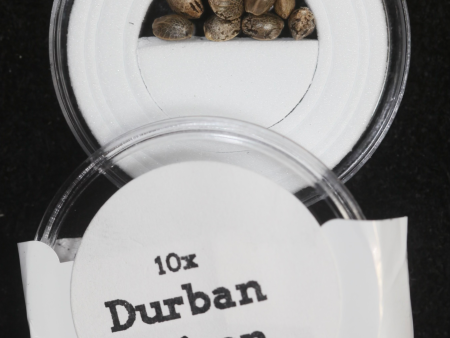 Durban Poison Feminized Supply