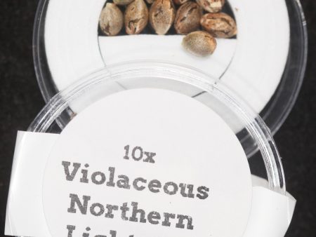 Violaceous NL#5 Regular Seeds Supply