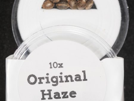 Original Haze 100% Colombian  IBL (Inbred Line) Regular Seeds For Sale