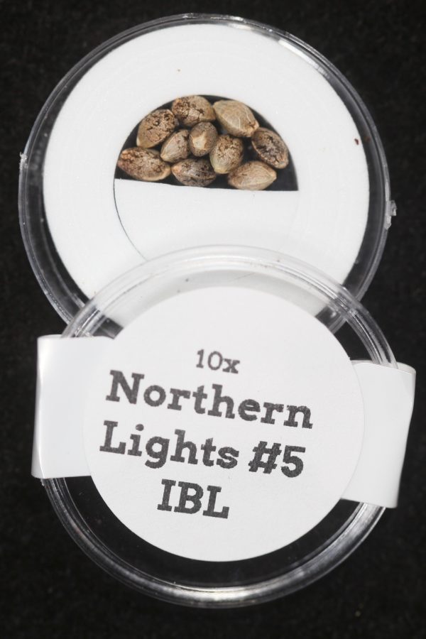 Northern Lights #5 IBL (Inbred Line) Regular Seeds Online now