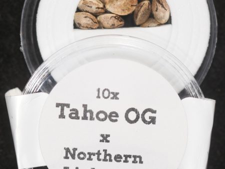 Tahoe OG x NL#5 Regular Seeds Discount