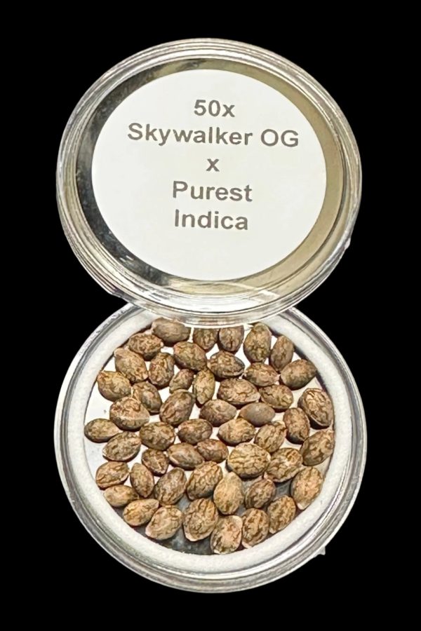 50x Skywalker OG x Purest Indica Seeds, 50 Seeds for $100.00! Online now