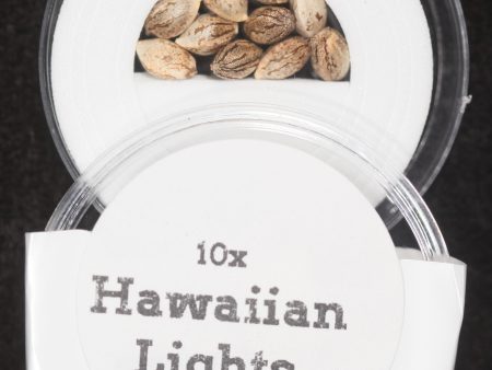 Hawaiian Lights: Purest Indica x NL#5 Regular Seeds Online now