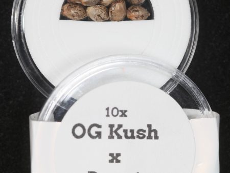 OG Kush x Purest Indica Regular Seeds Supply