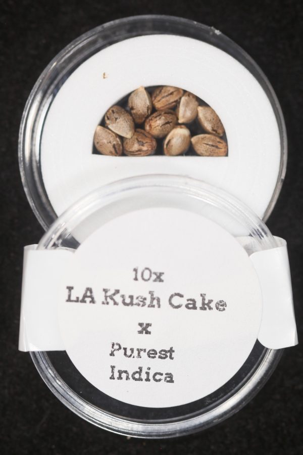 LA Kush Cake x Purest Indica Regular Seeds Supply