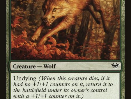 Young Wolf [Dark Ascension] Cheap