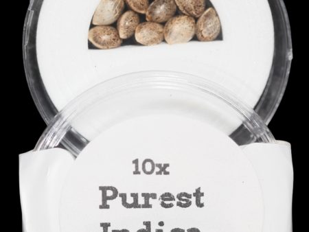 Purest Indica  a.k.a. the Steve Murphy Afghan IBL (Inbred Line) Regular Seeds Supply